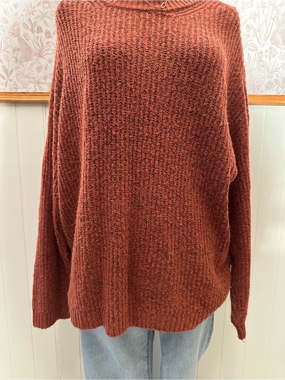 American Eagle Outfitters Cozy Rust Crewneck Sweater - Picture 4 of 7